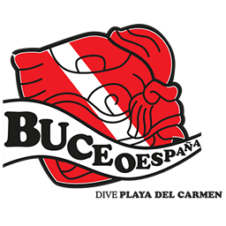 BUCEO ESPAÑA, DIVE PLAYA DEL CARMEN logo