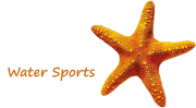 Seastar Watersports logo