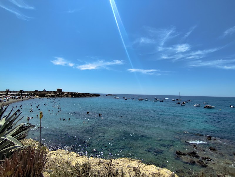 Dive Academy Santa Pola, bucear en Tabarca