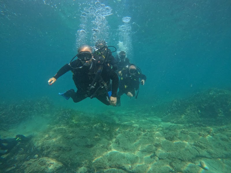 Dive Academy Santa Pola, bucear en Tabarca logo
