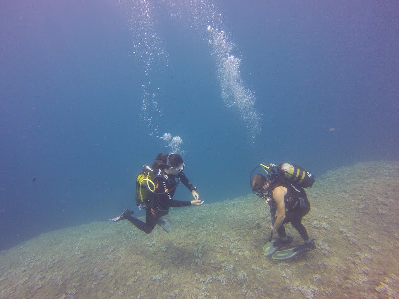 Buceo Puerto Javea