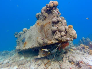 Foto 6