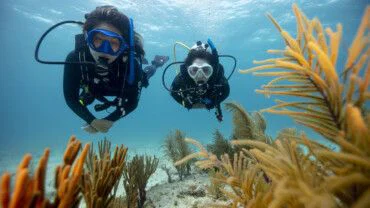 Estepona Dive Center - PADI 5 Star Instructor Development Center