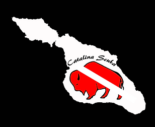 Catalina Scuba logo