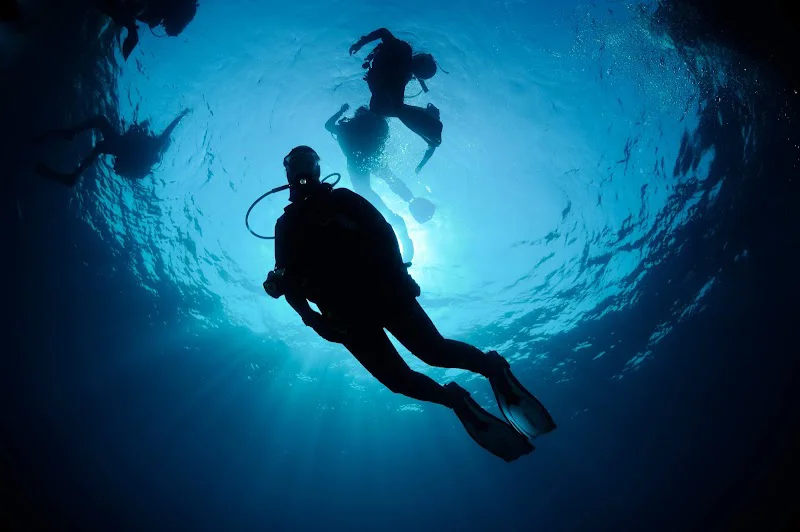 Celacanto Escuela De Buceo en Altea logo