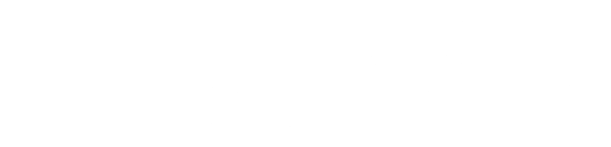Safe & Dive logo