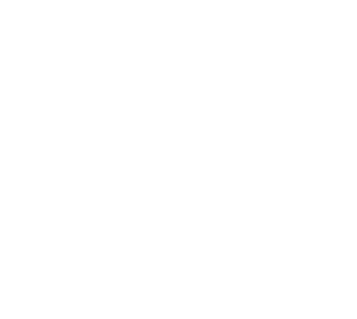 APNEA NATURA logo