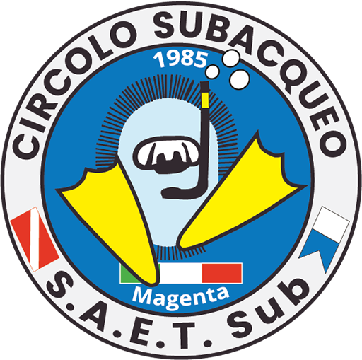 SAET Sub logo