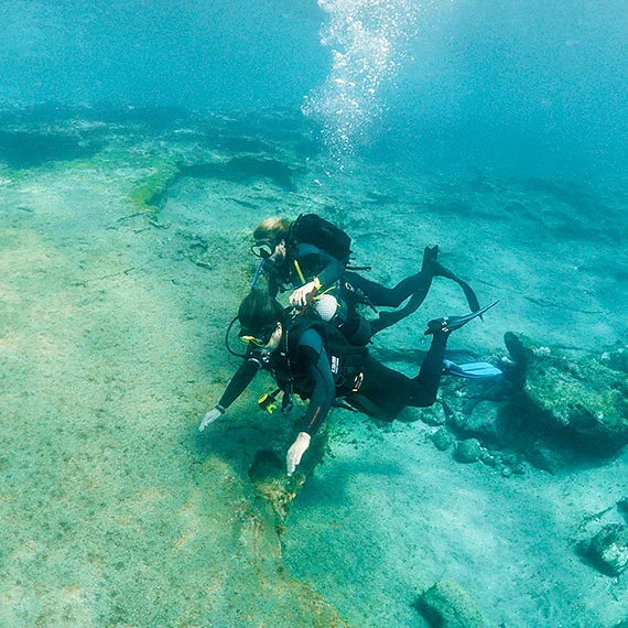 Deep Fin Tenerife Diving Center - Buceo Las Galletas