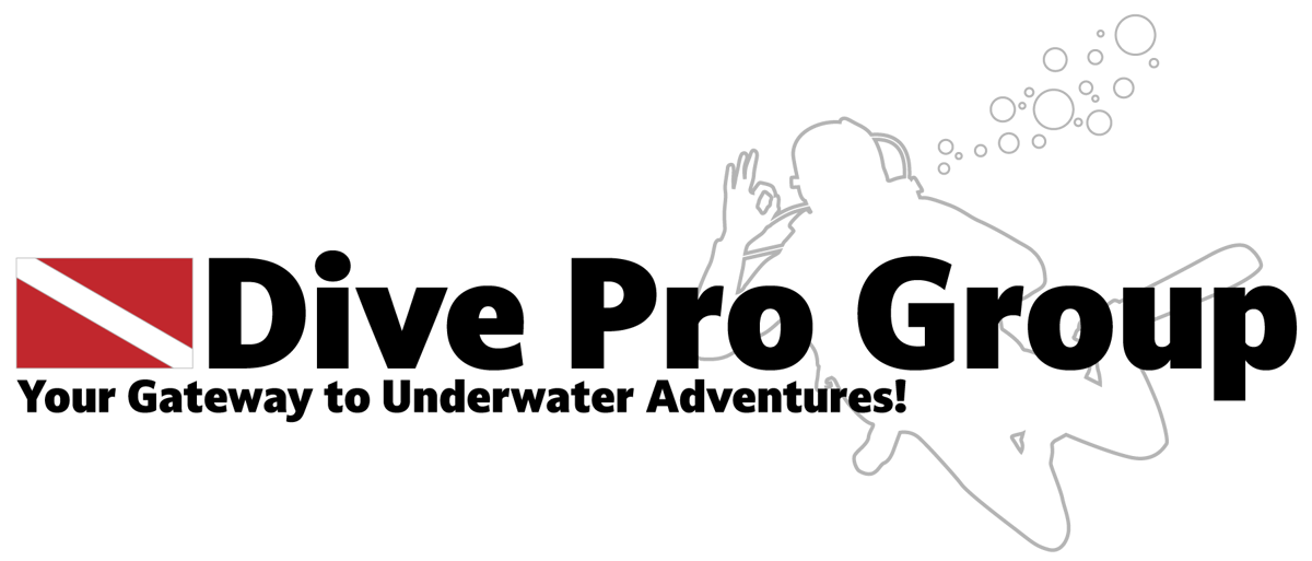 Dive Pro Group logo