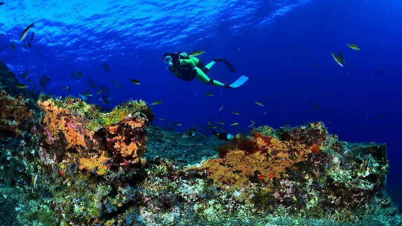 Open Water Madrid logo