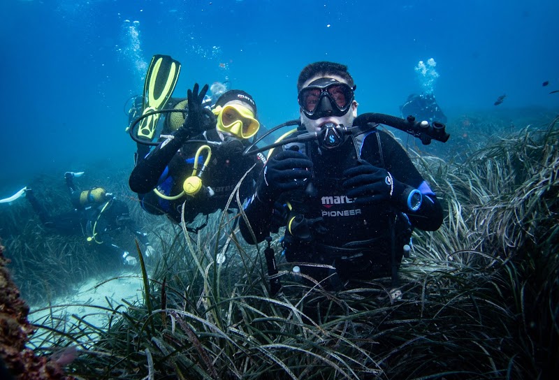 Apúntate a uno de nuestros maravillosos cursos de buceo, desde PADI Open Water hasta Dive Master.