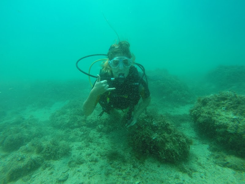 Apúntate a uno de nuestros maravillosos cursos de buceo, desde PADI Open Water hasta Dive Master.