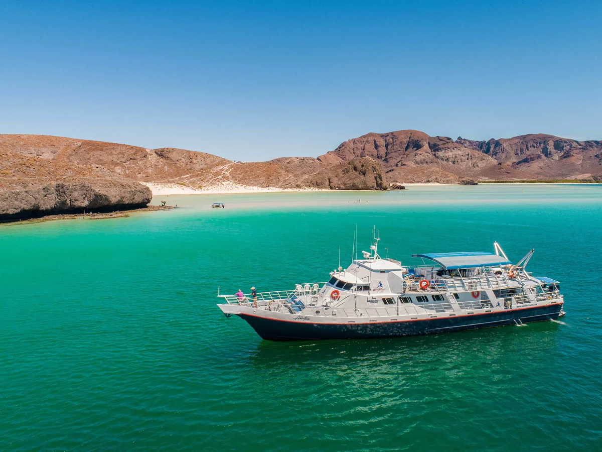 Sunrider Tours