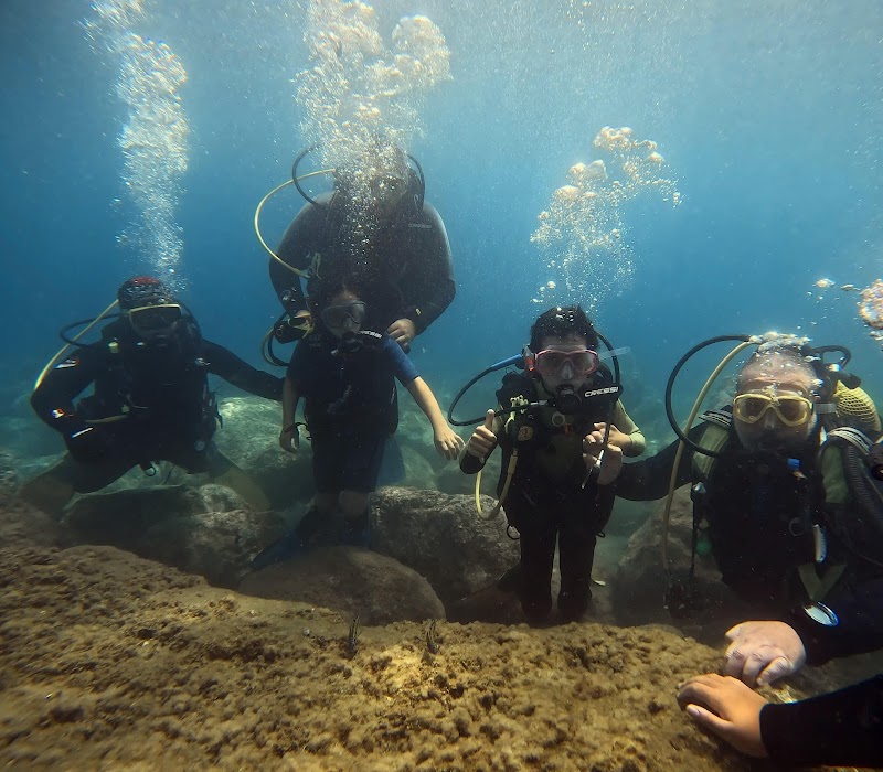 Club de Buceo Lebeta Sub logo