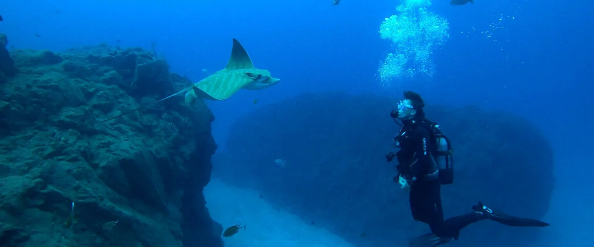 Scuba Diving Tenerife - Puerto Colón