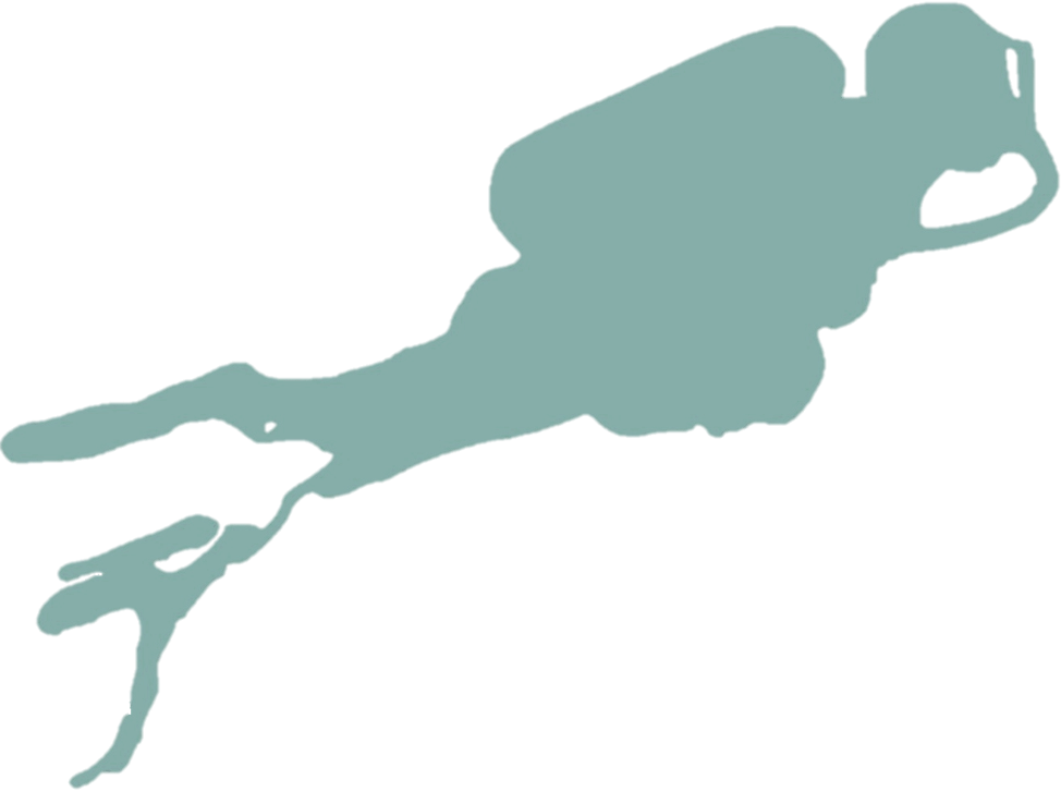 tauchtreff-bodensee GmbH logo