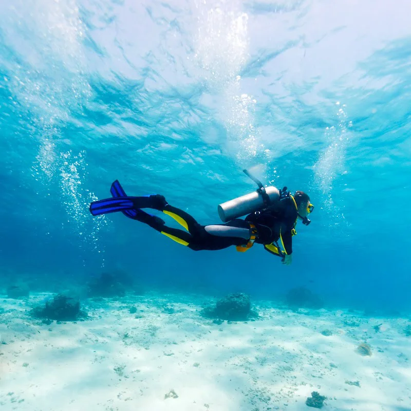 Alpha Buceo logo