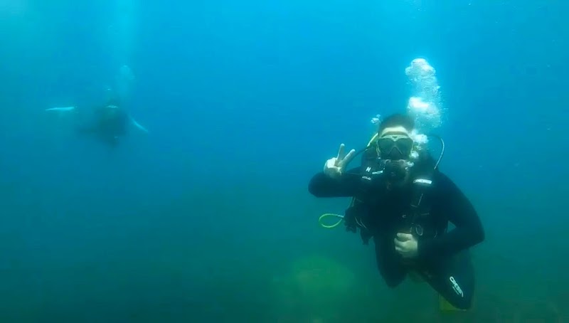 Alpha Diving Center logo