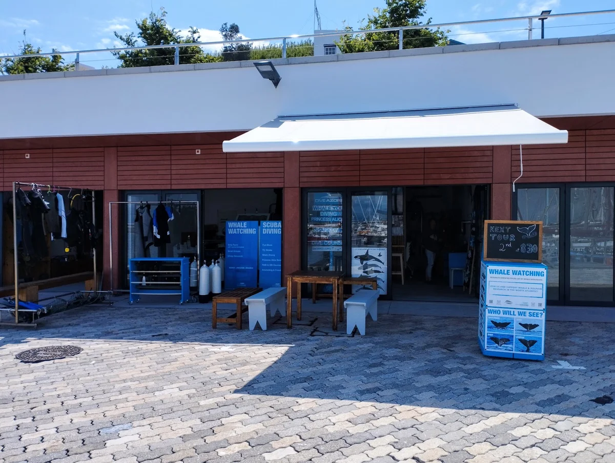 Dive Azores . Whale Project Azores