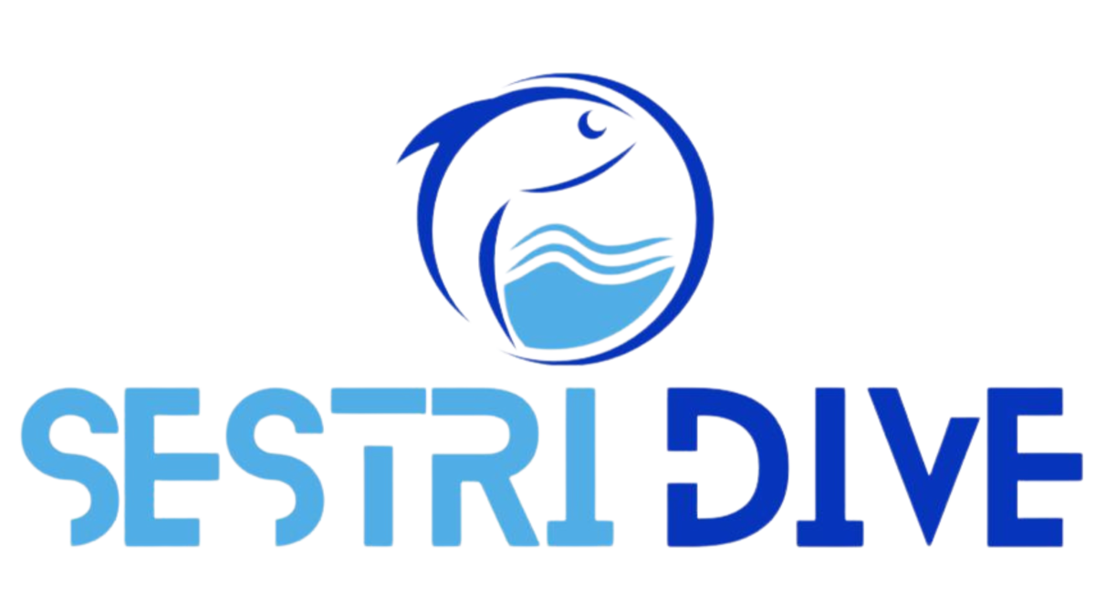 SESTRI DIVE logo