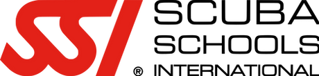 Kapusta logo