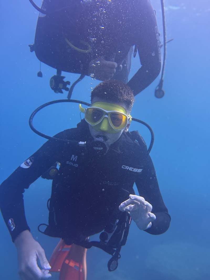 Open Water Diving Center La Herradura logo