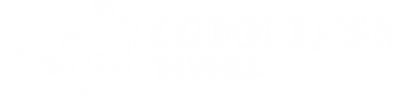 CF Divers Pte Ltd logo