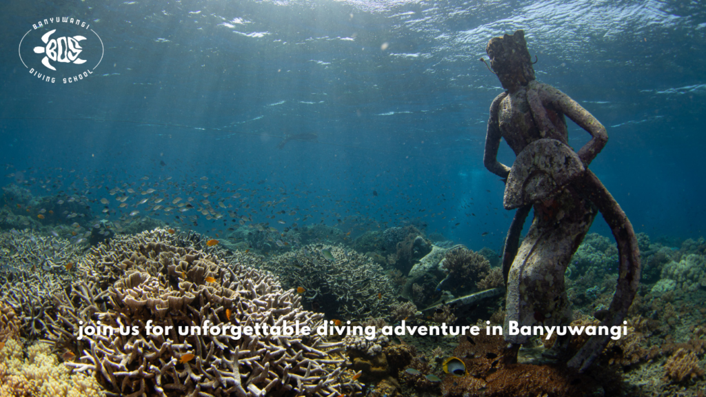 Banyuwangi Diving School