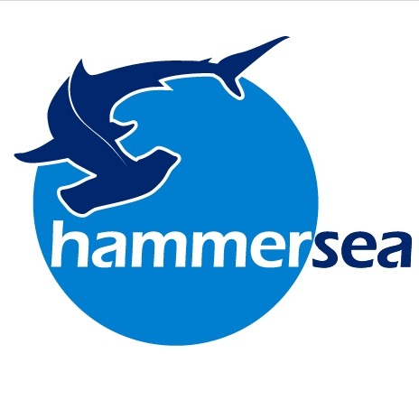 HAMMERSEA logo