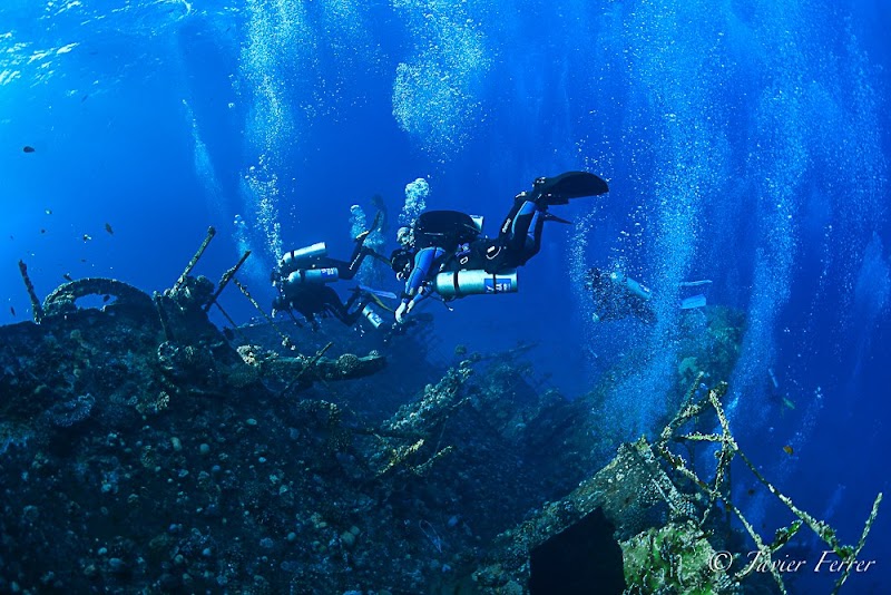 Mangamar Dive Center logo