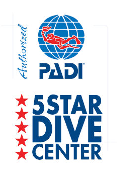 Fuvahmulah Dive logo