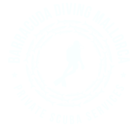PADI - Barracuda Diving Mallorca logo