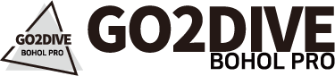 GO2DIVE dive resort logo