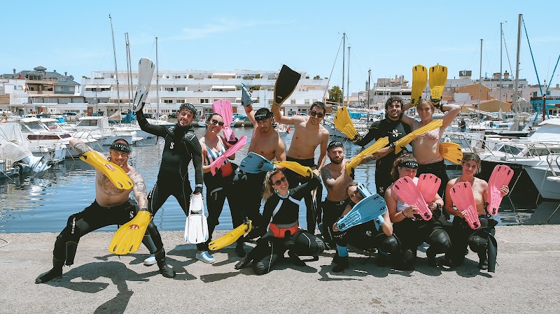 Albadive - Diving & experiences logo