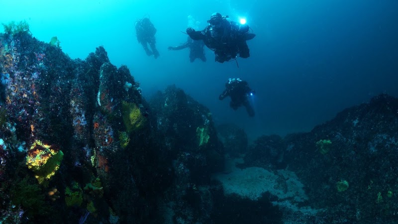 Buceo Atlantis Cies logo