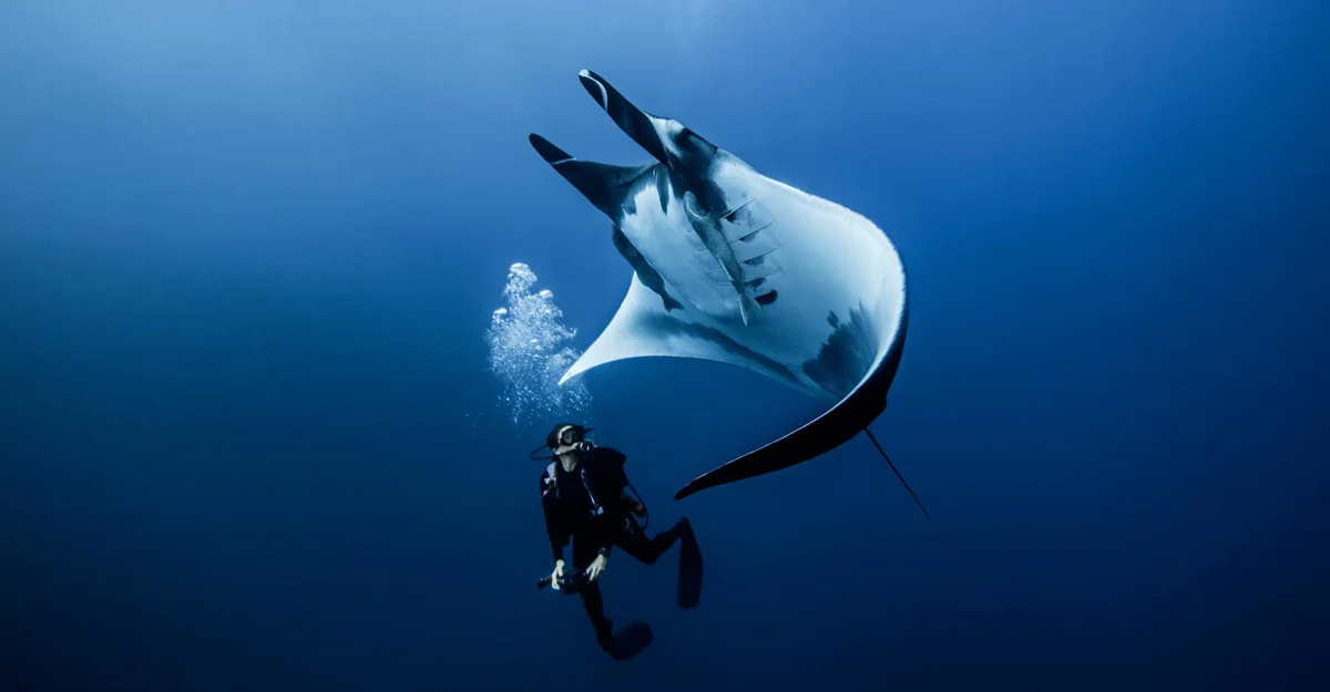 Dive2Adventure