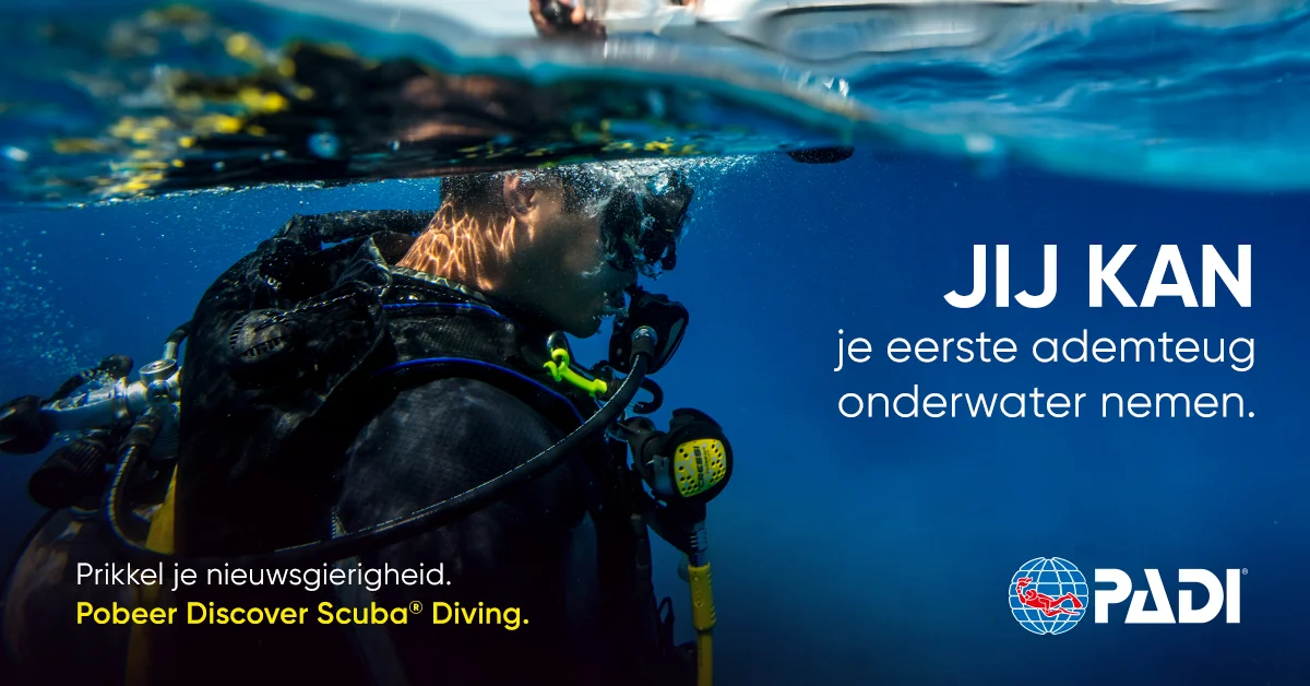 Discovery Divers