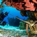 Pro Dive International Ocean Blue & Sand