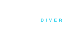 Norberto Diver logo