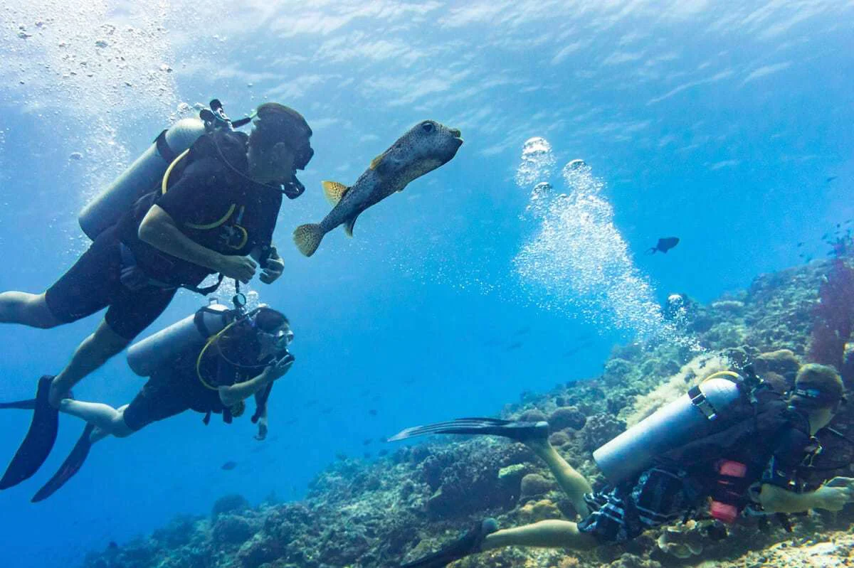 Lanzarote Buceo
