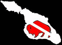 Catalina Scuba logo