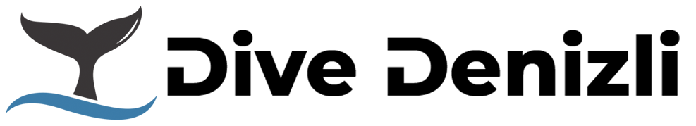 Dive Denizli logo