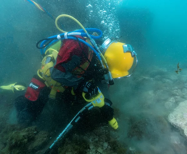 BUCEO POLITSUB, S.L.