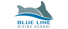 BLUELINE DALIS EGITIM MERKEZI logo