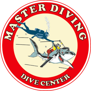 MasterDiving logo