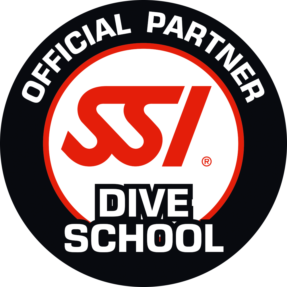 Tauchverein DIVEBLUE logo