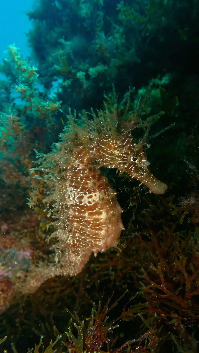 Underwater