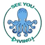 See You Diving Tenerife - PADI 5 Star logo