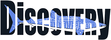 Samui Discovery Divers, Co Ltd logo